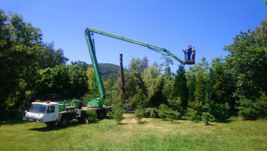 Prořezy stromů za pomoci plošiny stavební firma František Doležal Česká Lípa Nový Bor